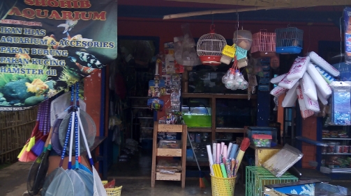 Toko Aquarium (2) terbaik di Kab. Sumedang