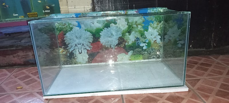 Toko Aquarium (2) terbaik di Kab. Tasikmalaya