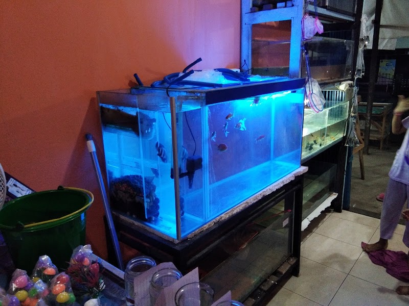 Toko Aquarium (2) terbaik di Kota Balikpapan