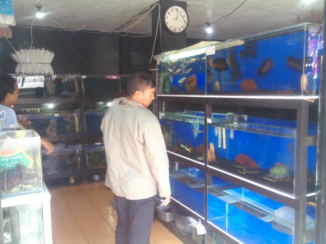 Toko Aquarium (2) terbaik di Kota Bandung