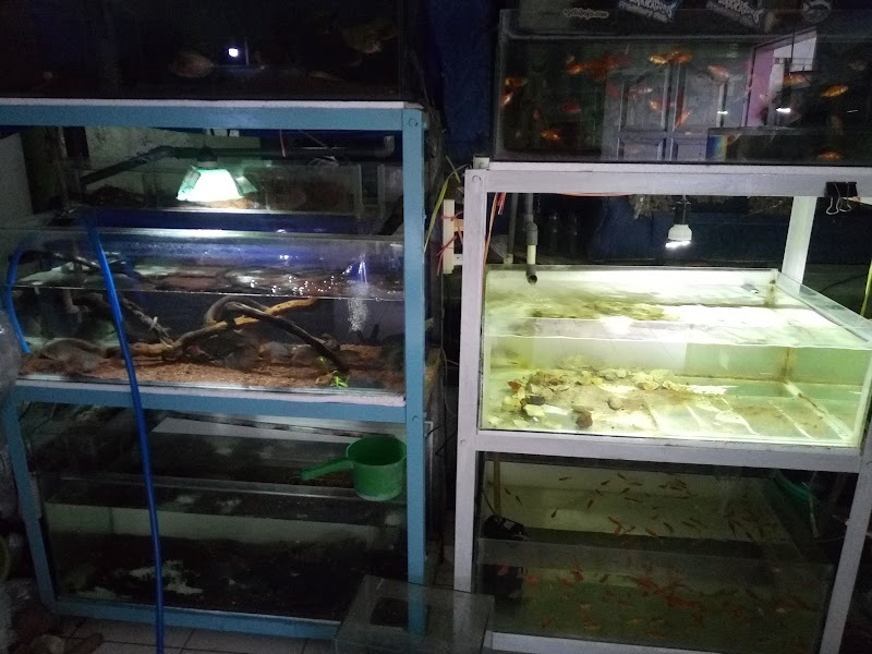 Toko Aquarium (2) terbaik di Kota Batu