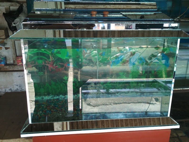 Toko Aquarium (2) terbaik di Kota Tasikmalaya