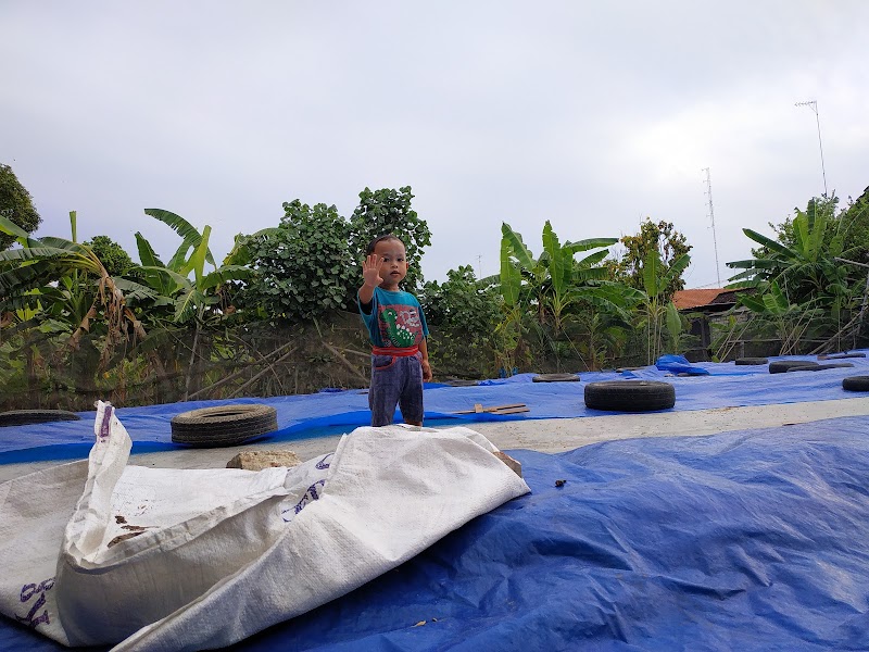 Toko Beras (2) terbaik di Kab. Tuban