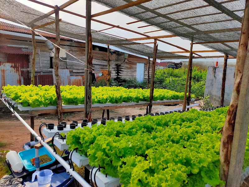 Toko Buah (2) terbaik di Kota Dumai