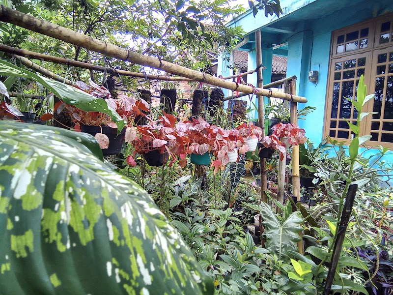 Toko Bunga (2) terbaik di Kab. Klaten