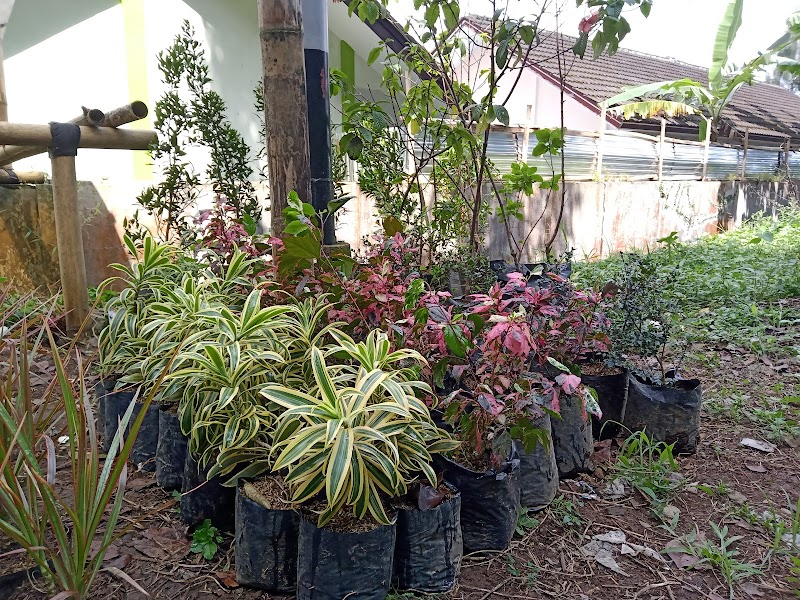 Toko Bunga (2) terbaik di Kab. Wonosobo