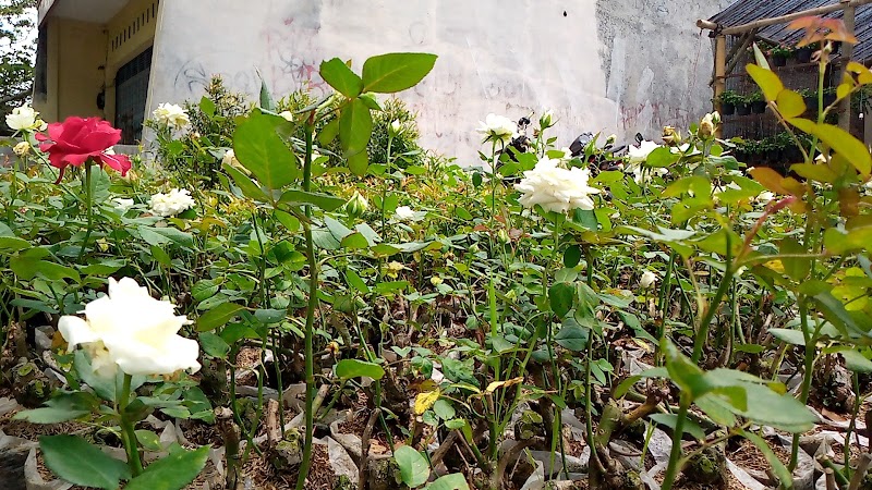 Toko Bunga (2) terbaik di Kota Tasikmalaya