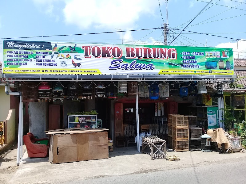 Toko Burung (1) terbaik di Kab. Banyuwangi