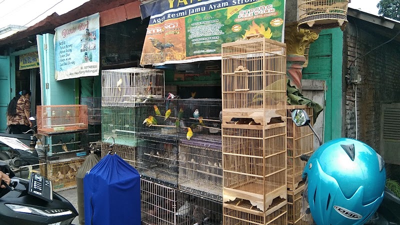 Toko Burung (1) terbaik di Kab. Grobogan