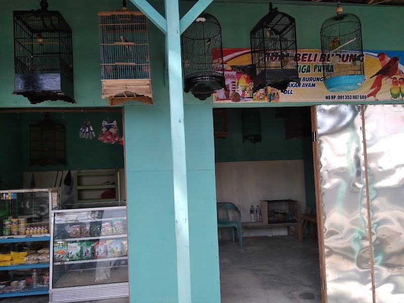 Toko Burung (1) terbaik di Kab. Lamongan