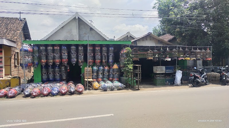 Toko Burung (1) terbaik di Kab. Nganjuk