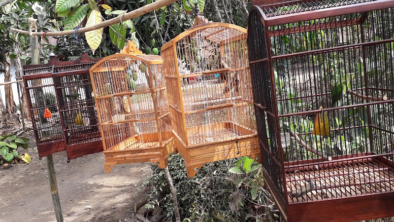 Toko Burung (1) terbaik di Kab. Purworejo