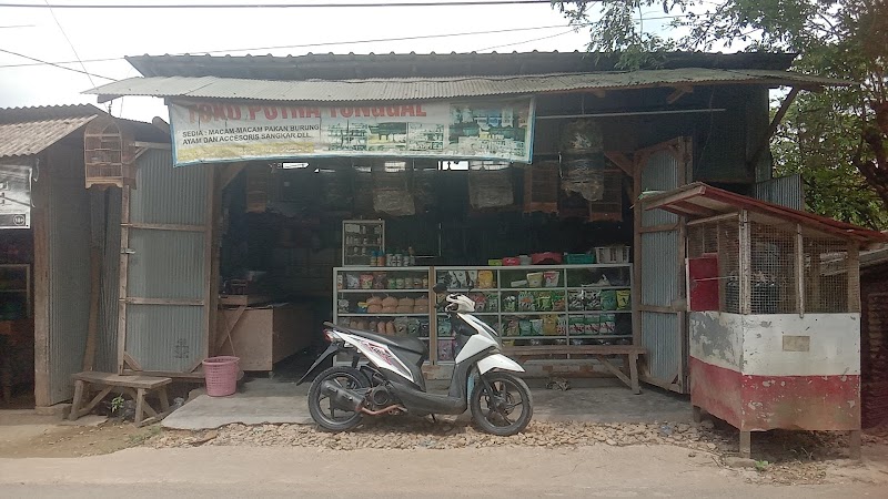 Toko Burung (1) terbaik di Kab. Sampang