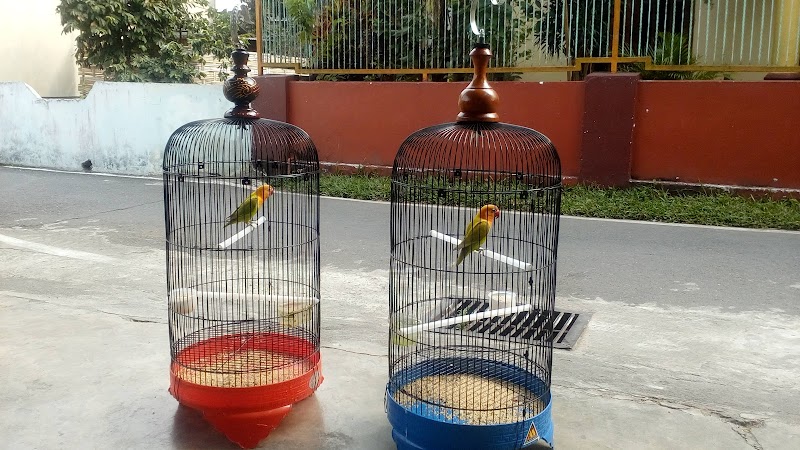 Toko Burung (1) terbaik di Kota Blitar