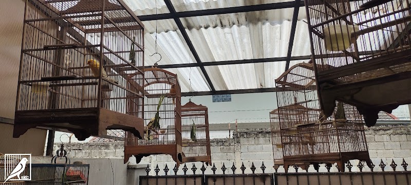 Toko Burung (1) terbaik di Kota Cimahi