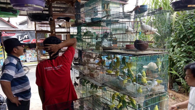 Toko Burung (1) terbaik di Kota Depok