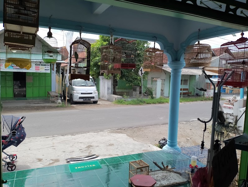 Toko Burung (1) terbaik di Kota Kediri