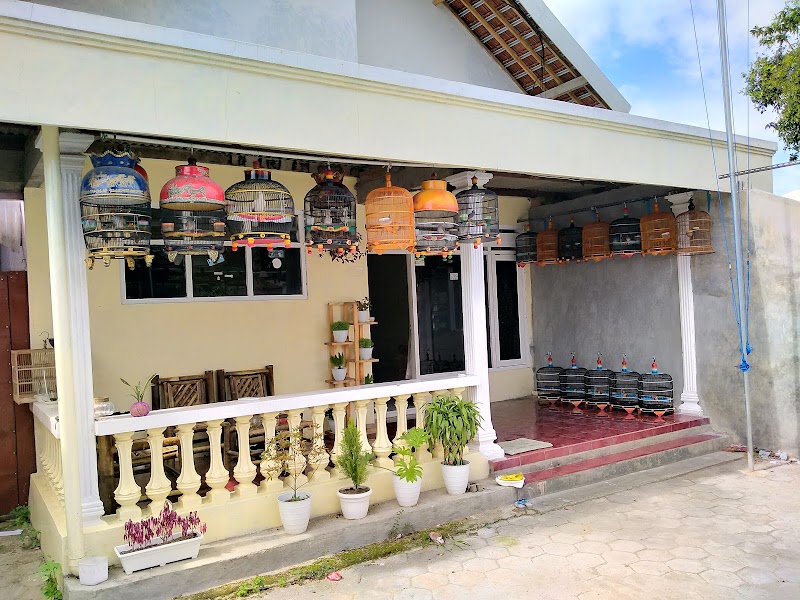 Toko Burung (1) terbaik di Kota Madiun