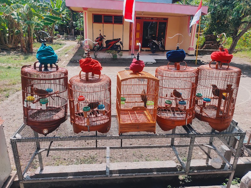 Toko Burung (1) terbaik di Kota Mojokerto