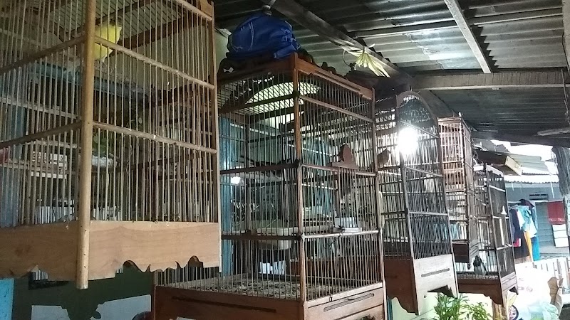 Toko Burung (1) terbaik di Kota Palembang