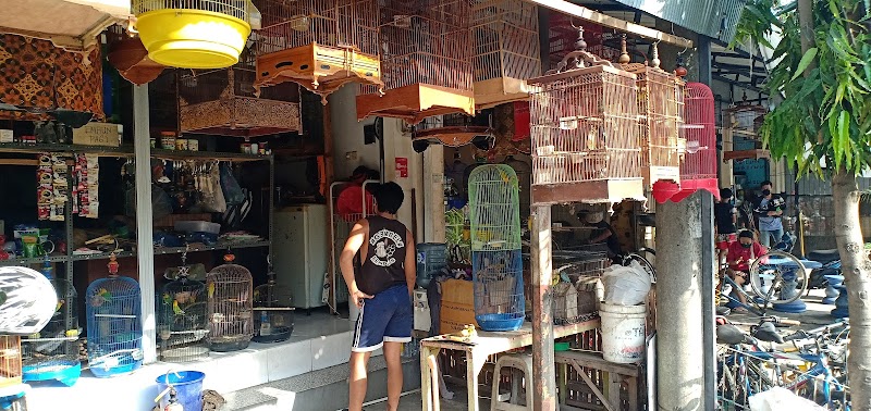 Toko Burung (2) terbaik di Bali