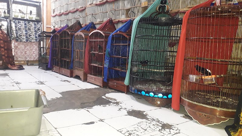 Toko Burung (2) terbaik di DKI Jakarta