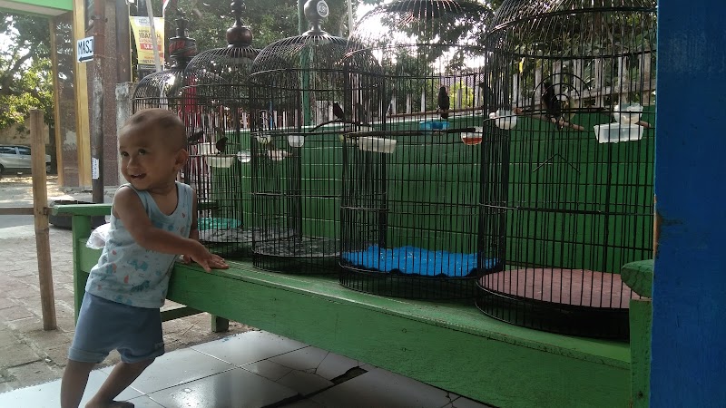 Toko Burung (2) terbaik di Kab. Brebes