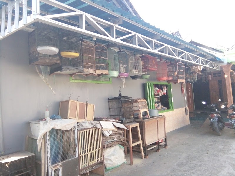 Toko Burung (2) terbaik di Kab. Jember