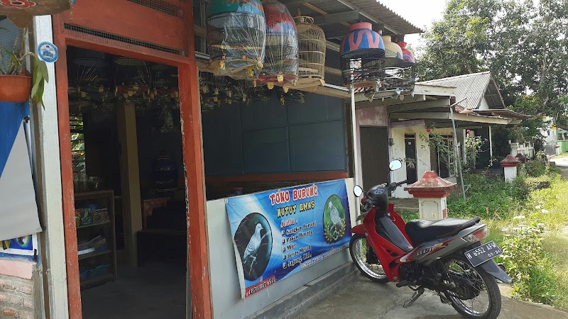 Toko Burung (2) terbaik di Kab. Kebumen