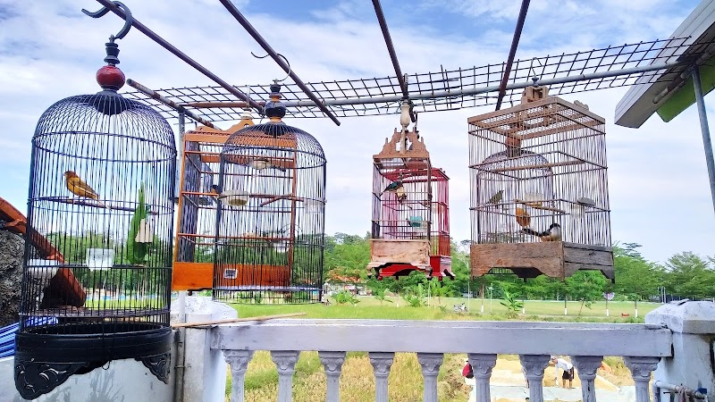 Toko Burung (2) terbaik di Kab. Majalengka