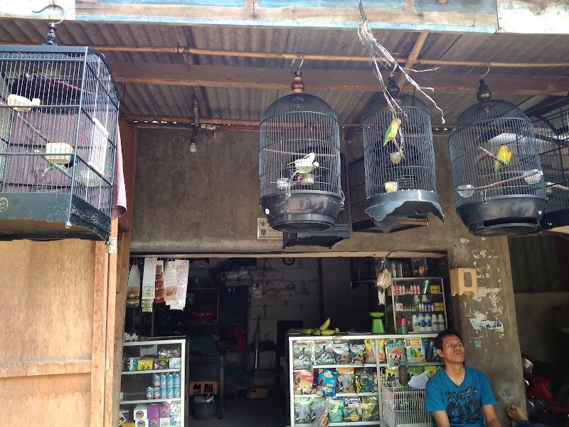 Toko Burung (2) terbaik di Kota Depok