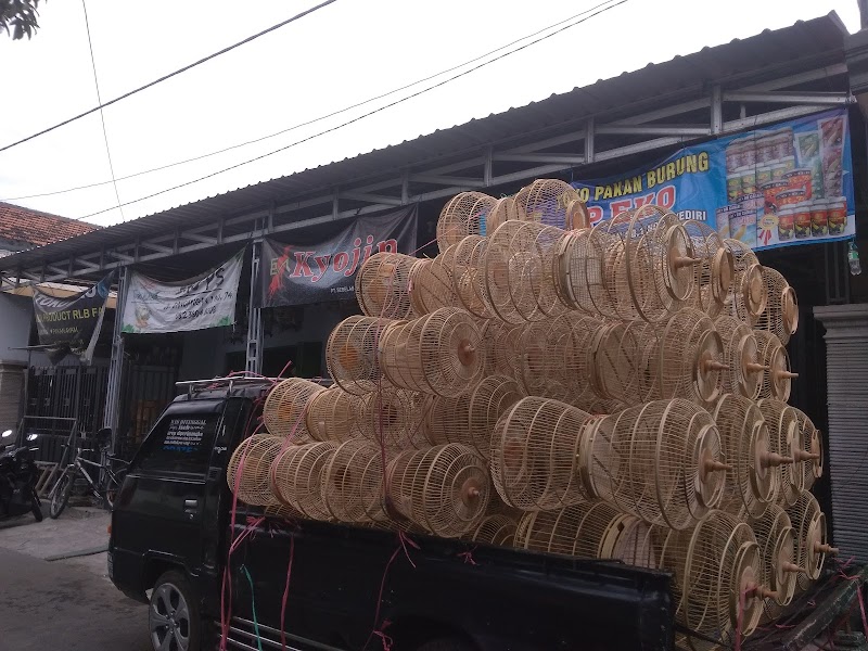 Toko Burung (2) terbaik di Kota Kediri