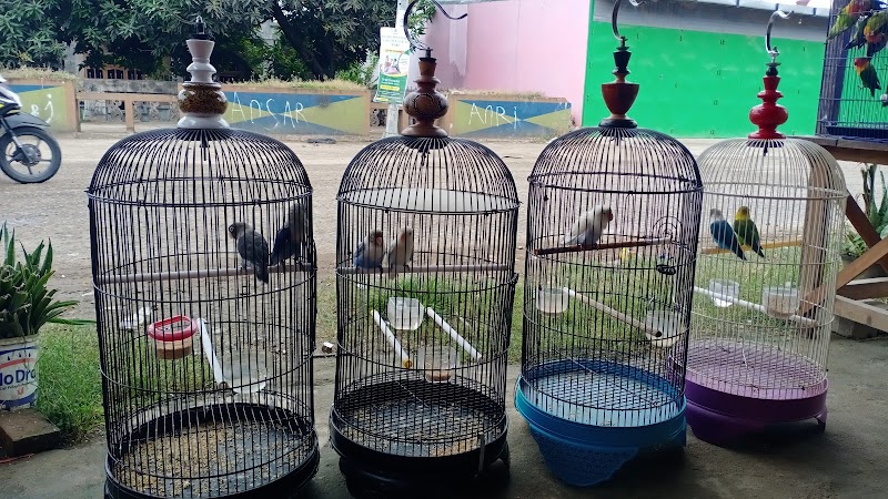 Toko Burung (2) terbaik di Kota Makassar