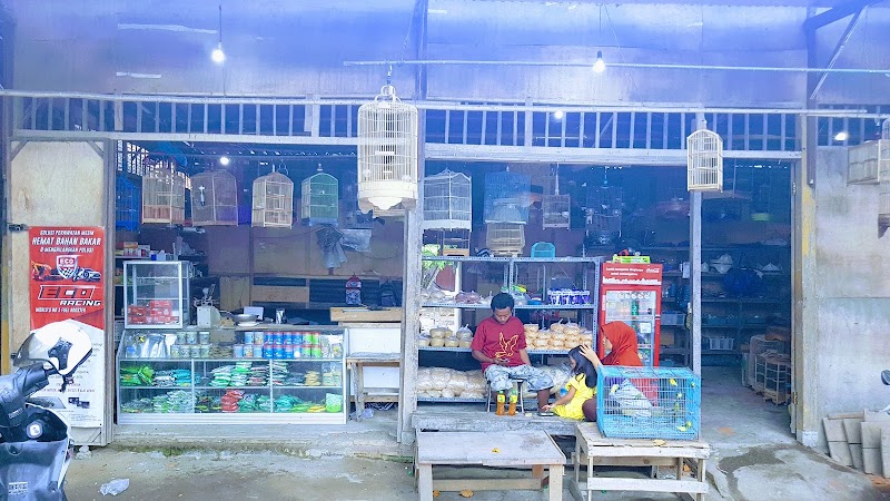 Toko Burung (2) terbaik di Kota Mataram