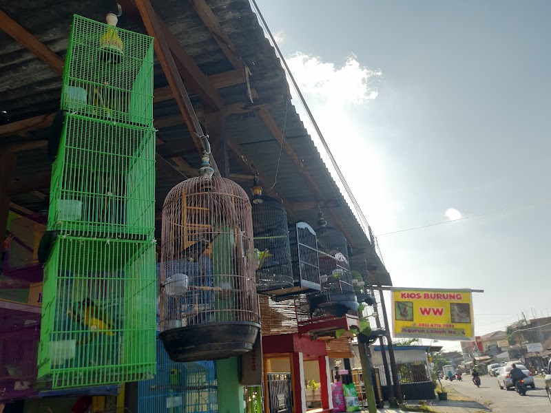 Toko Burung (2) terbaik di Kota Padang