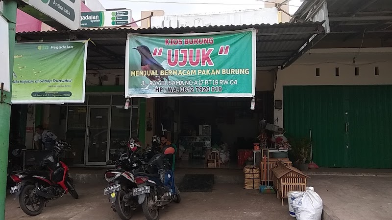 Toko Burung (2) terbaik di Kota Palembang