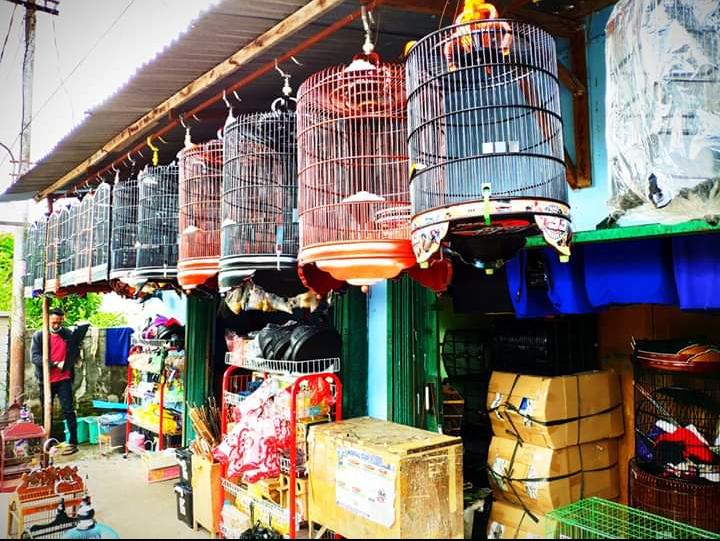 Toko Burung (2) terbaik di Kota Pontianak