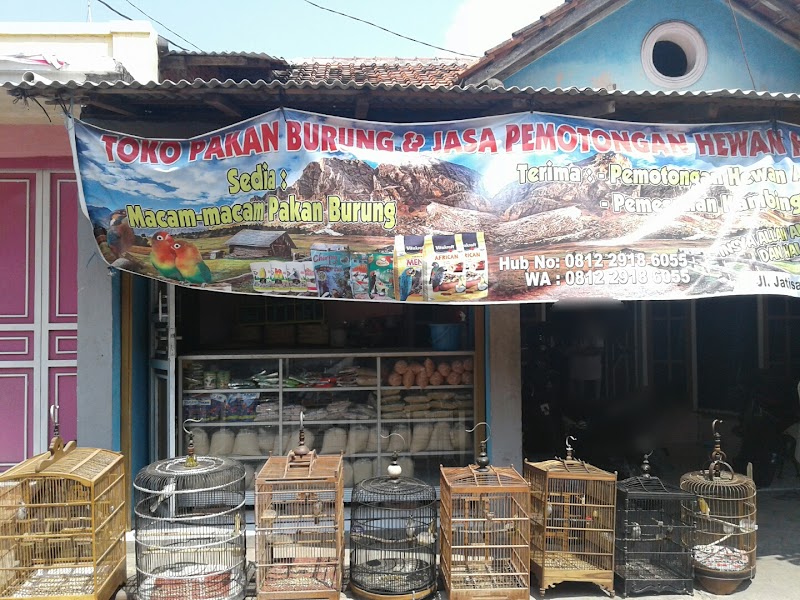 Toko Burung (2) terbaik di Kota Tegal