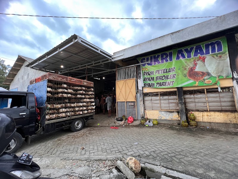 Toko Daging (2) terbaik di Kab. Lamongan