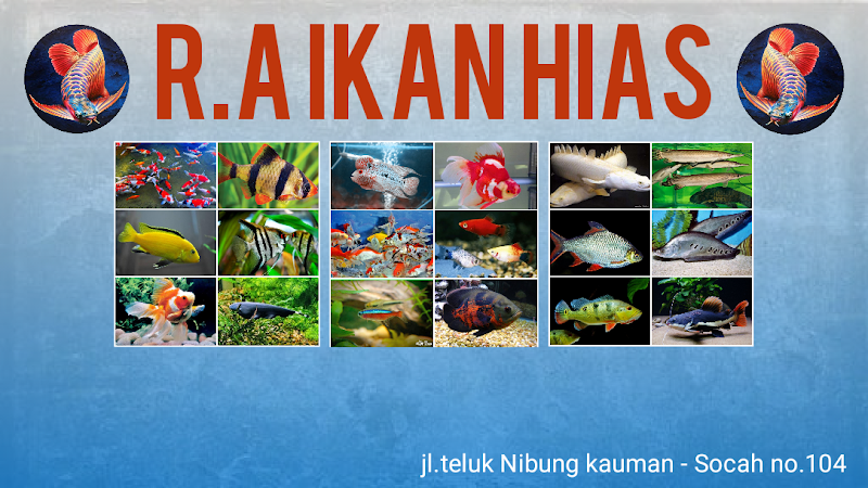 Toko Ikan Hias (2) terbaik di Kab. Bangkalan