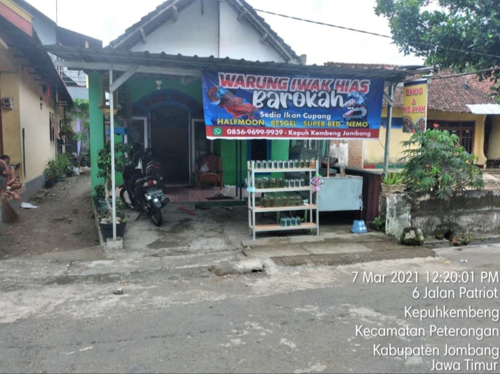 Toko Ikan Hias (2) terbaik di Kab. Jombang