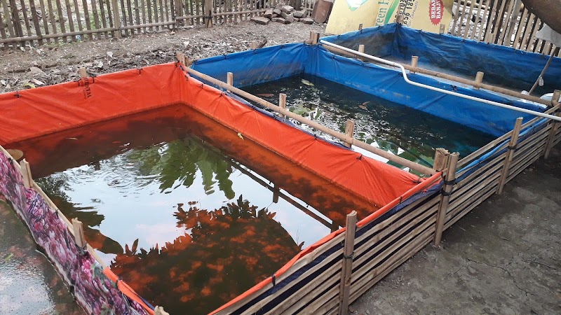 Toko Ikan Hias (2) terbaik di Kab. Karawang