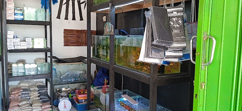 Toko Ikan Hias (2) terbaik di Kab. Nganjuk