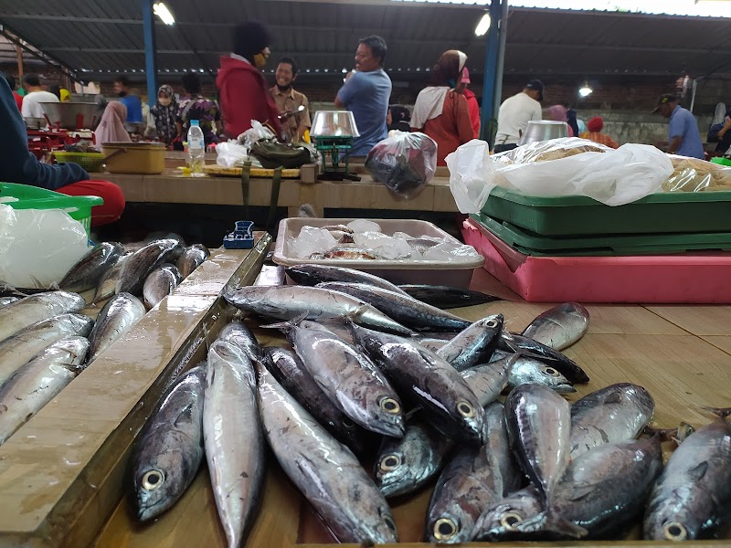 Toko Ikan Hias (2) terbaik di Kab. Situbondo