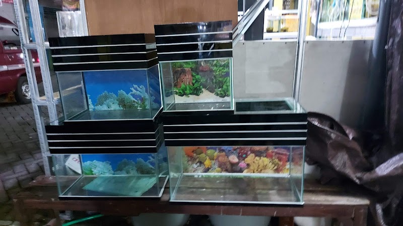 Toko Ikan Hias (2) terbaik di Kota Mojokerto