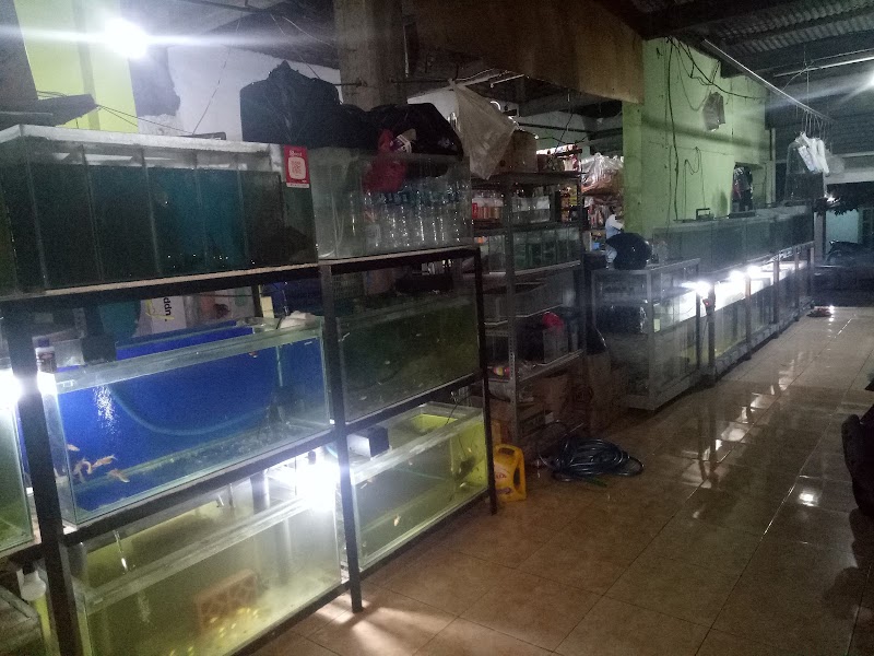 Toko Ikan Hias (2) terbaik di Kota Semarang