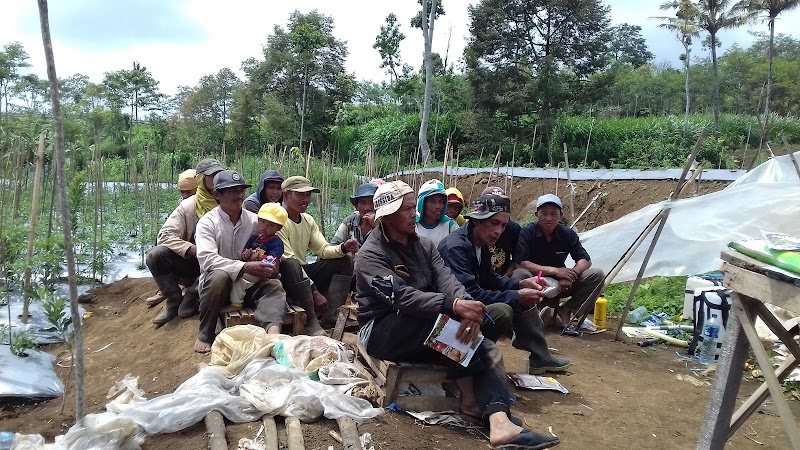 Toko Kaca (2) terbaik di Kab. Malang