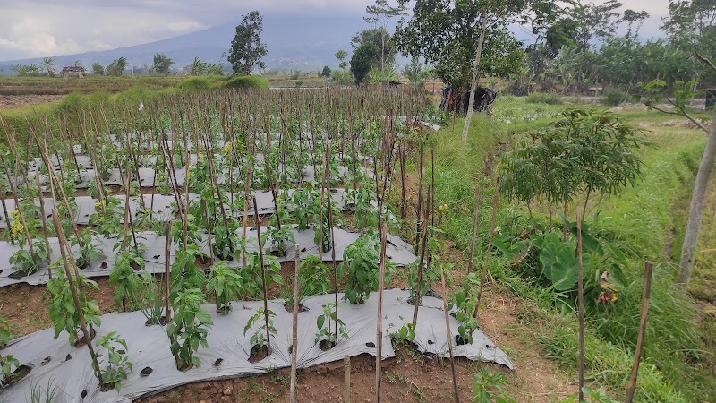 Toko Pertanian (2) terbaik di Kab. Temanggung