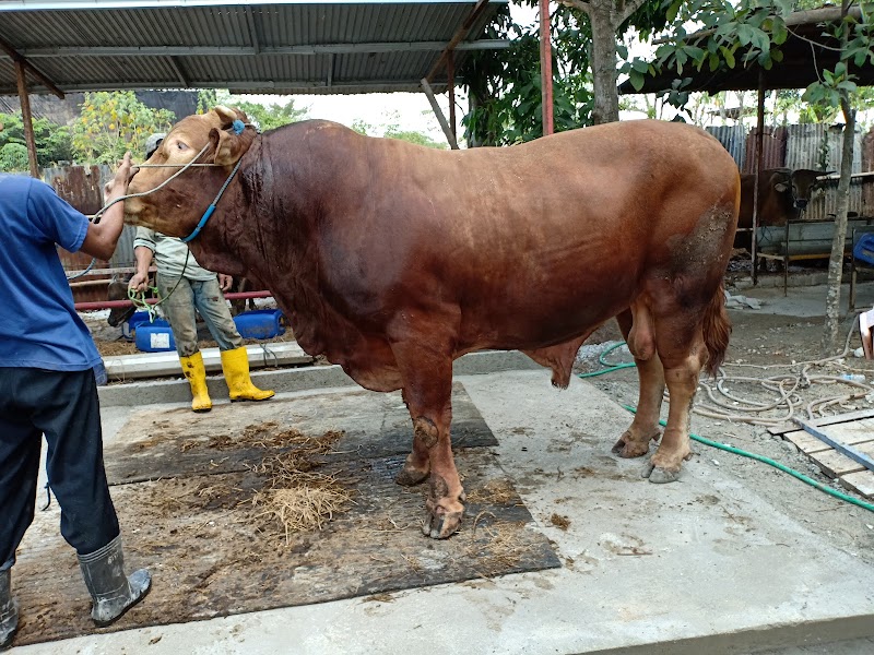 Toko Pertanian (2) terbaik di Kota Depok