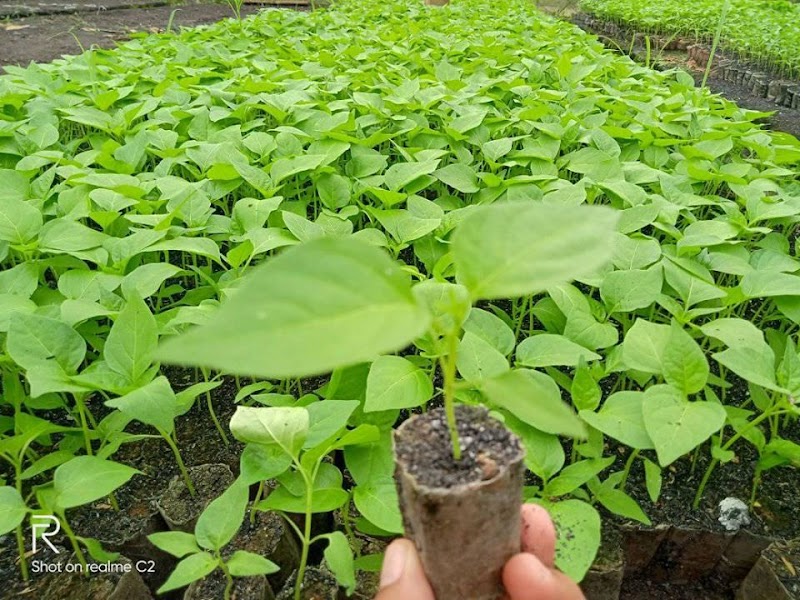 Toko Pertanian (2) terbaik di Kota Yogyakarta